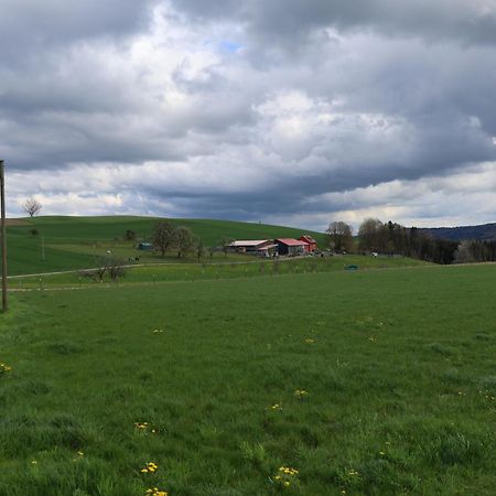 Ferienwohnung Hippenhof Hohenfels  외부 사진