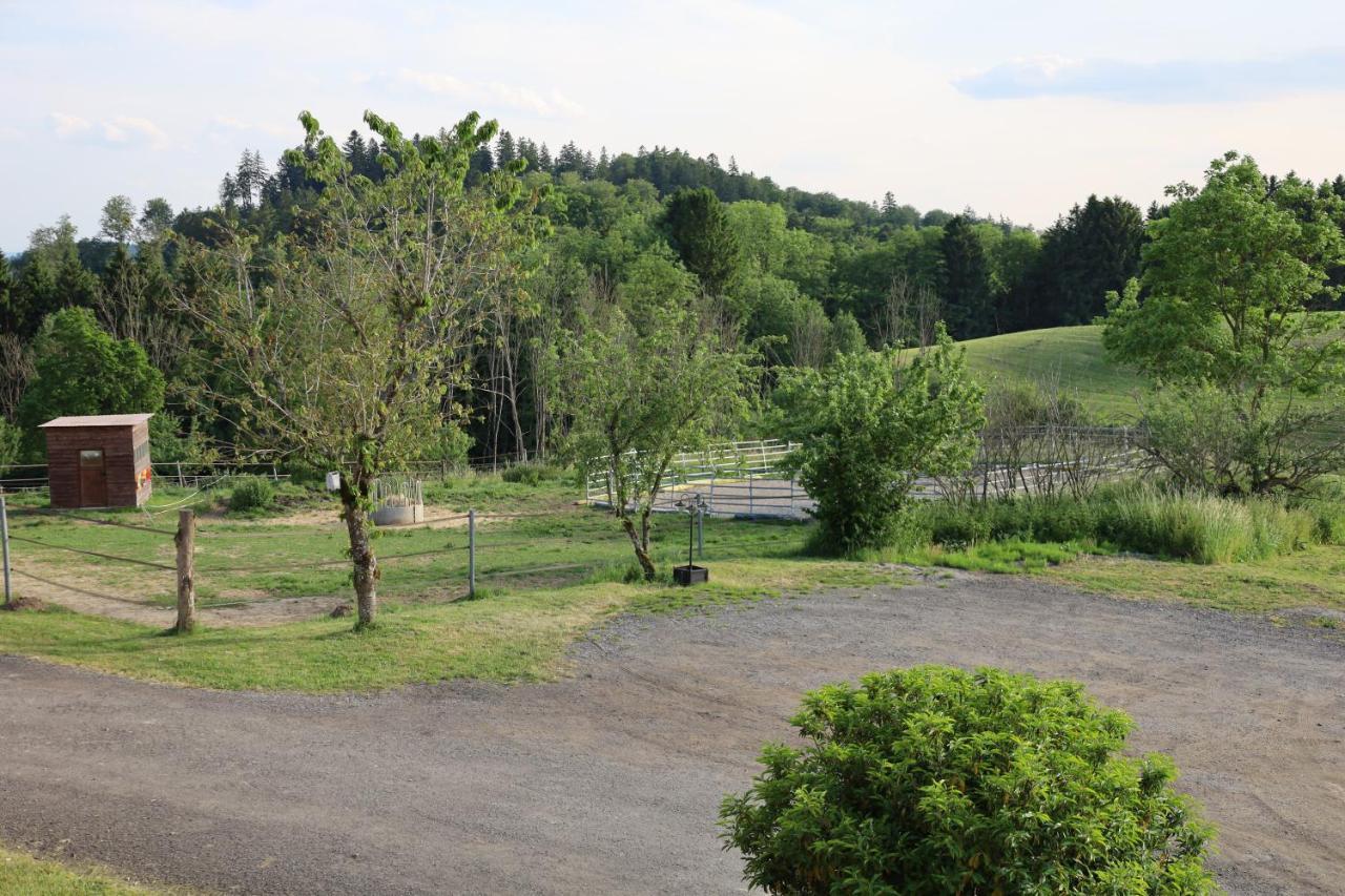 Ferienwohnung Hippenhof Hohenfels  외부 사진