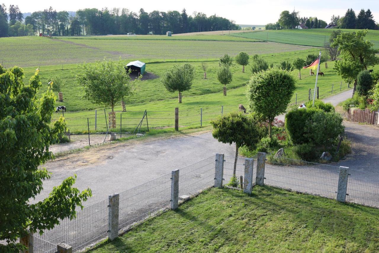 Ferienwohnung Hippenhof Hohenfels  외부 사진