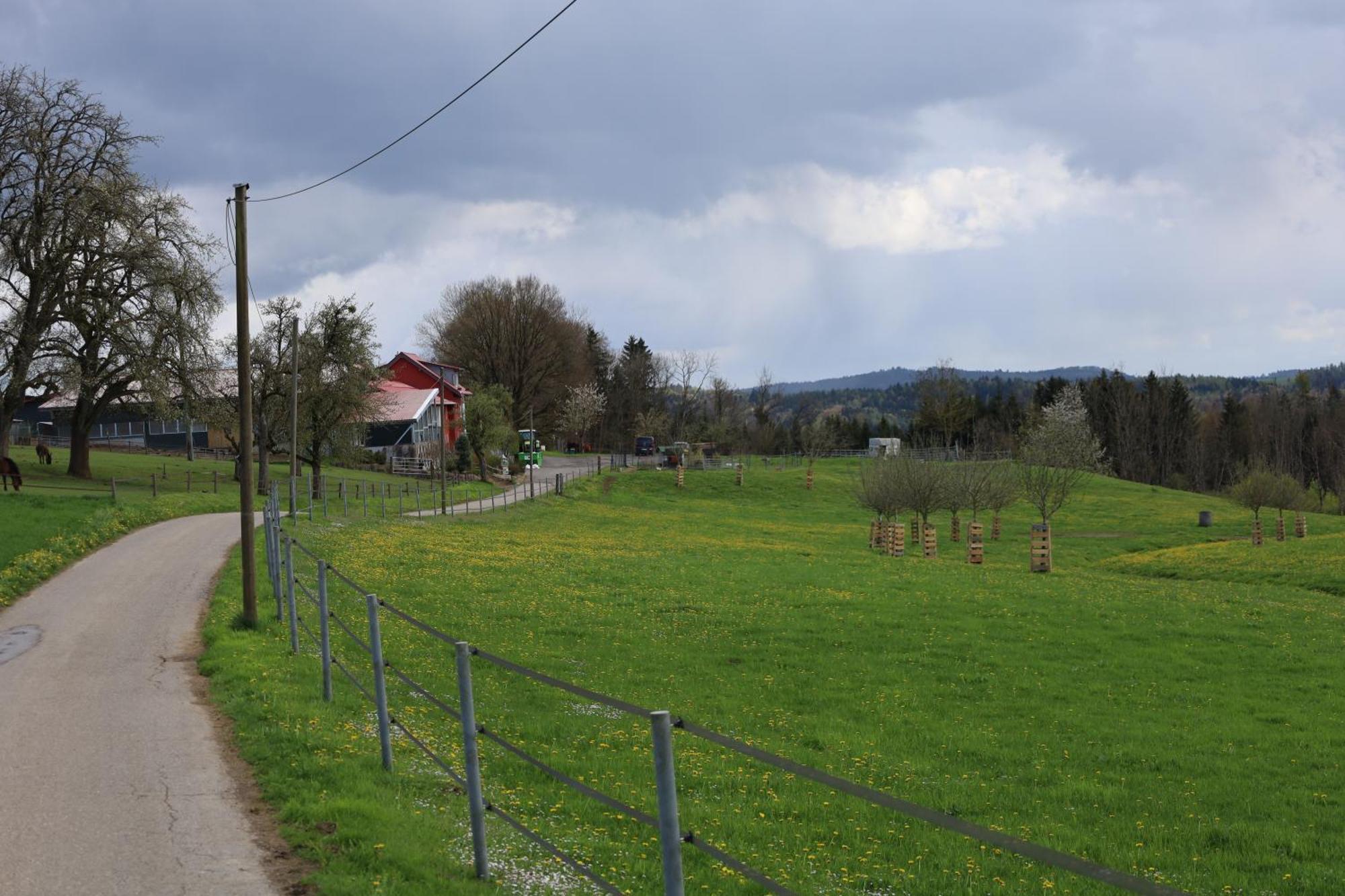 Ferienwohnung Hippenhof Hohenfels  외부 사진